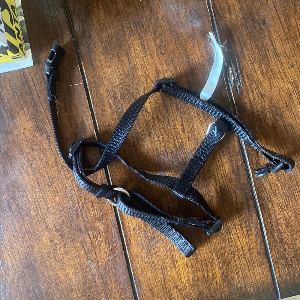 Cat harness